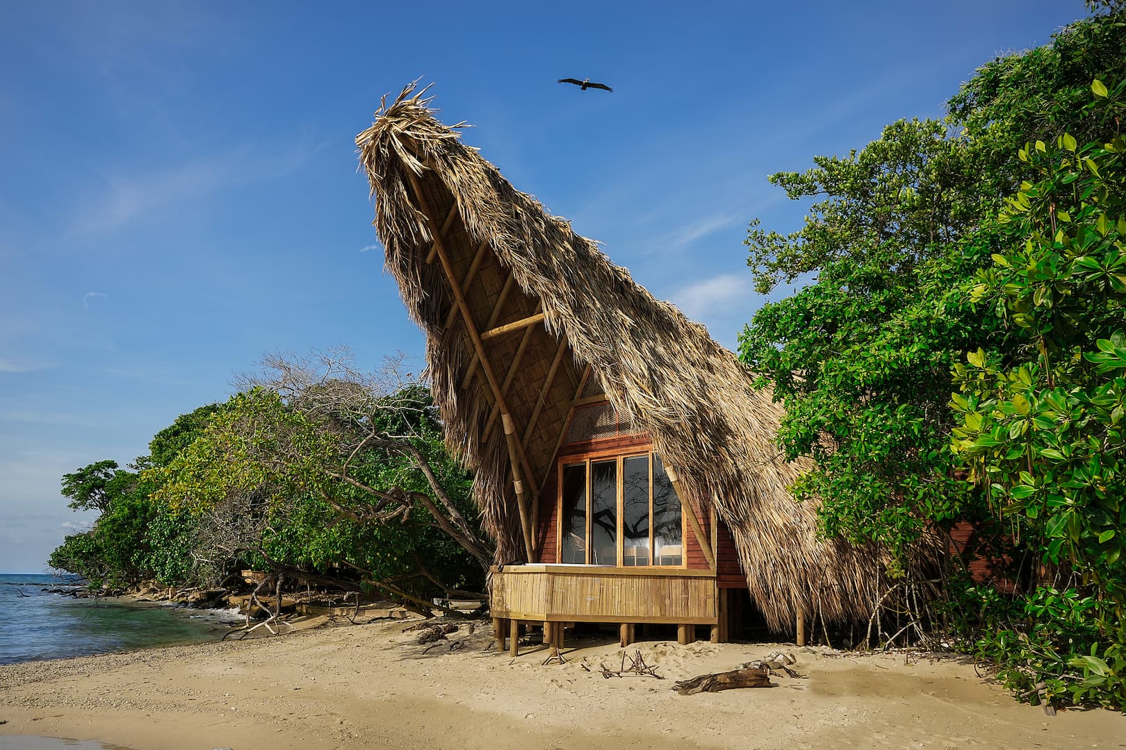 Corona Isla Narutalmente relajante