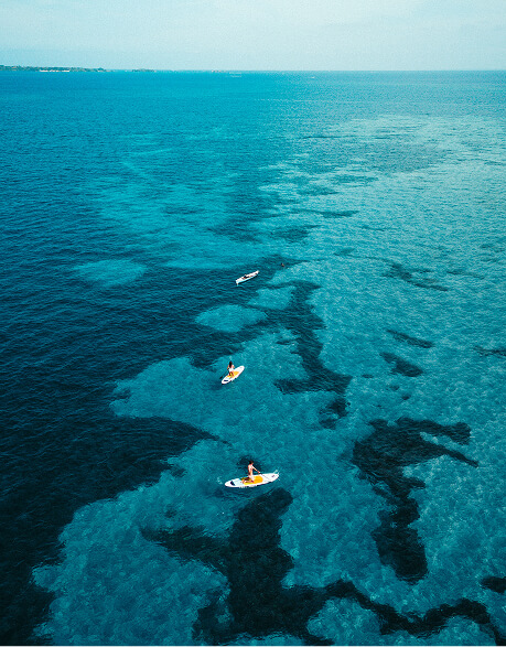 paddleboard
