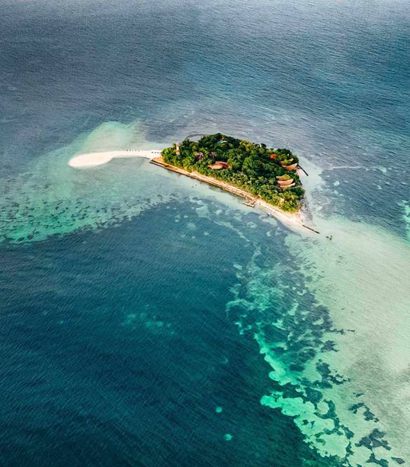 Corona Paraiso